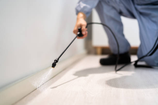 Bed Bug Pre-Treatment Preparation Assessment in Montgomery